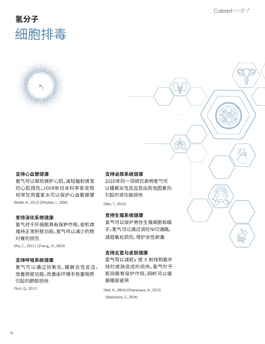 Alpha Hope Brochure-Chinese(2)_10.png