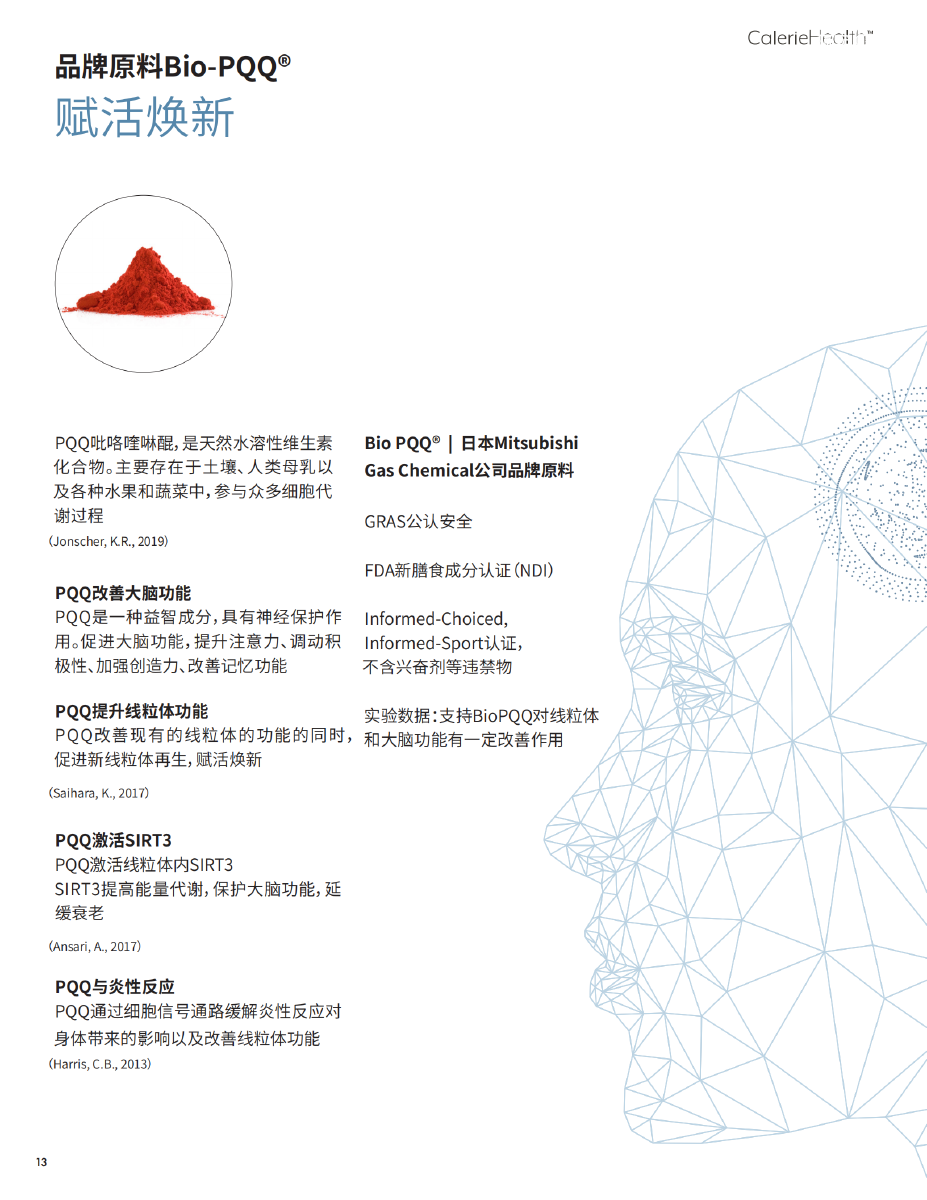 Alpha Hope Brochure-Chinese(2)_12.png