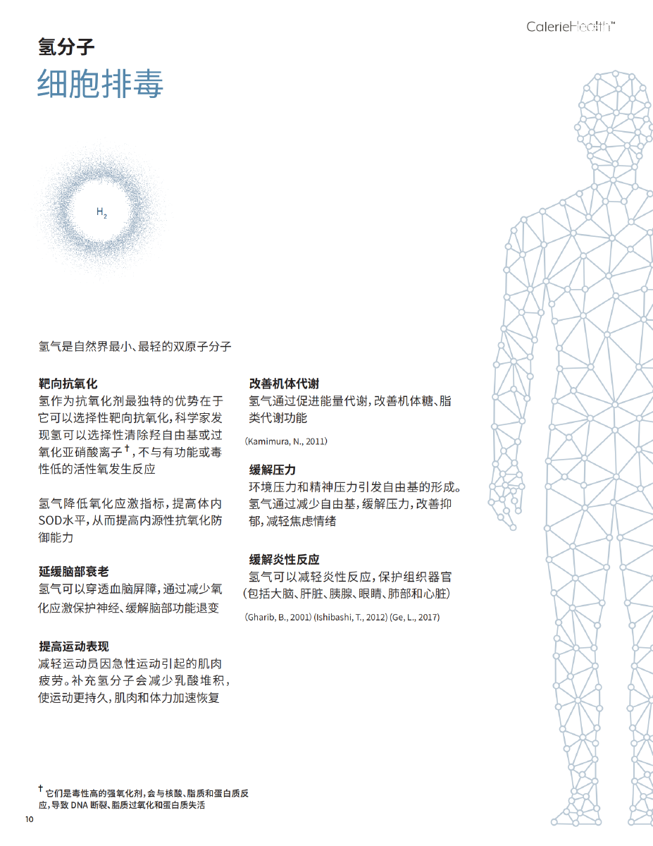 Alpha Hope Brochure-Chinese(2)_09.png