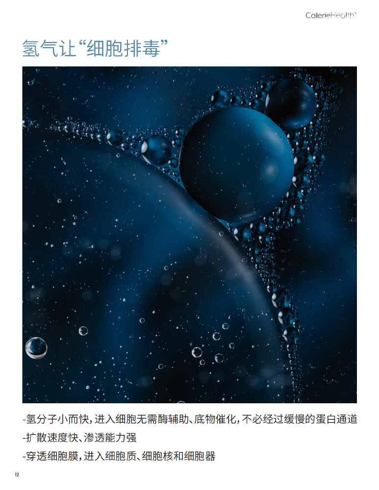 Alpha Hope Brochure-Chinese(2)_11.png