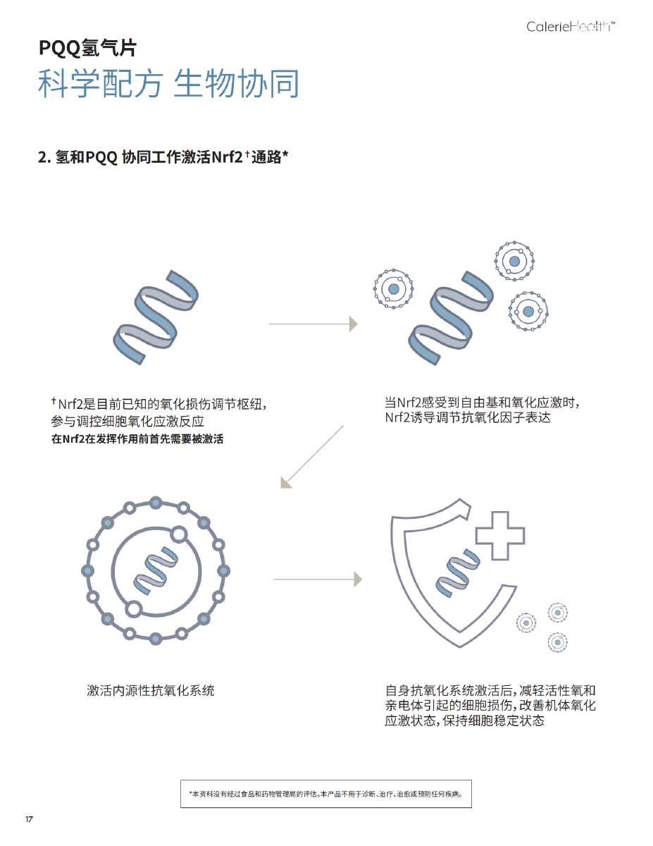 Alpha Hope Brochure-Chinese(2)_16.png