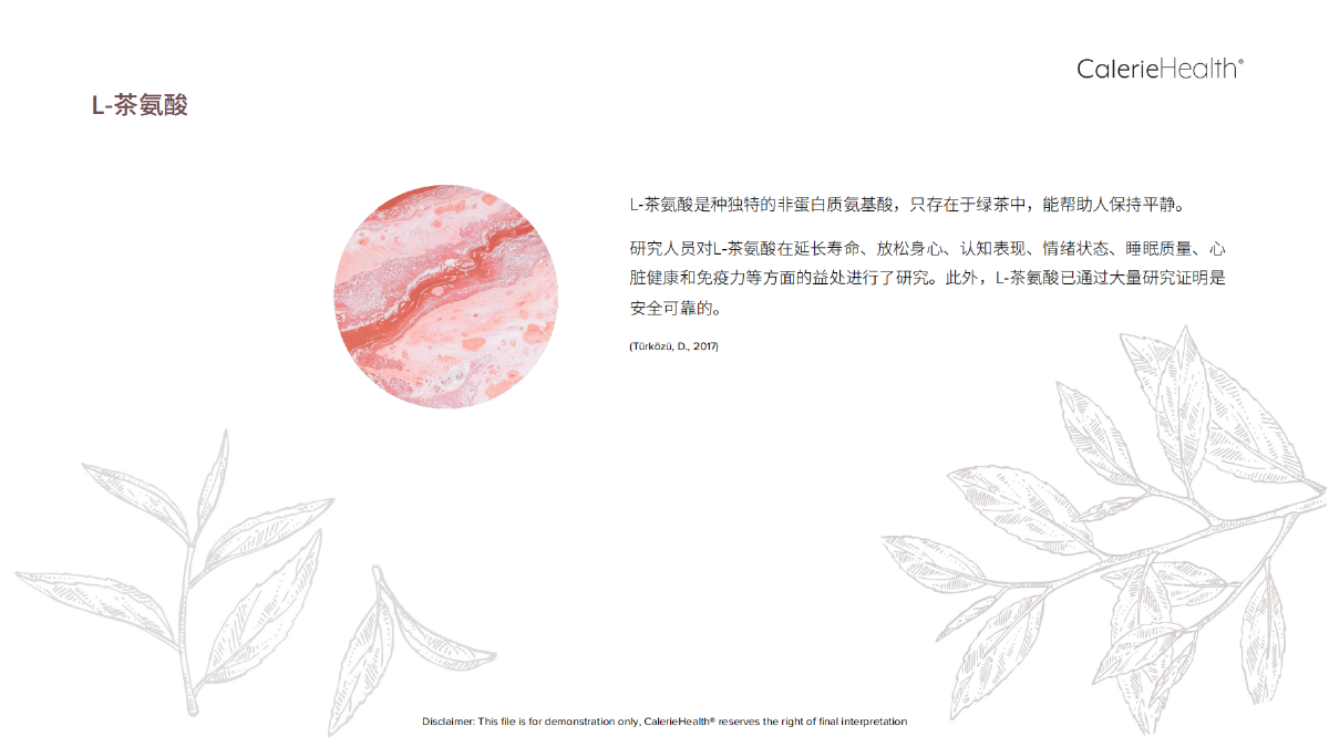 CH_EN_Glow_Brochure_ZZ_20220830_07.png