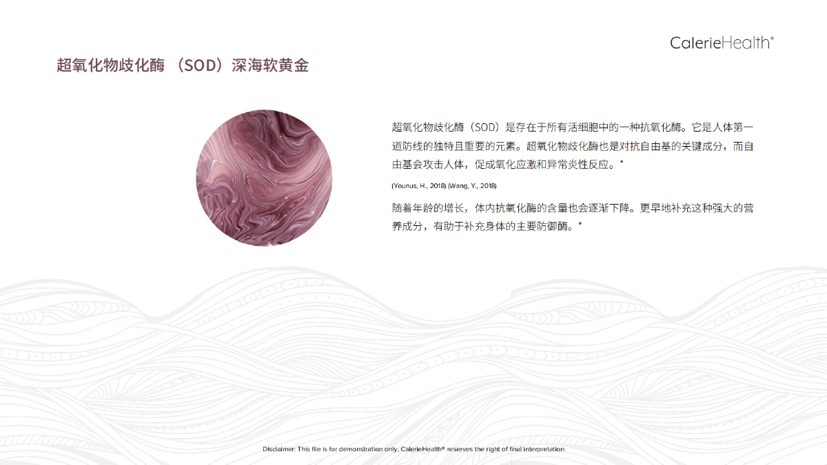 CH_EN_Glow_Brochure_ZZ_20220830_08.png