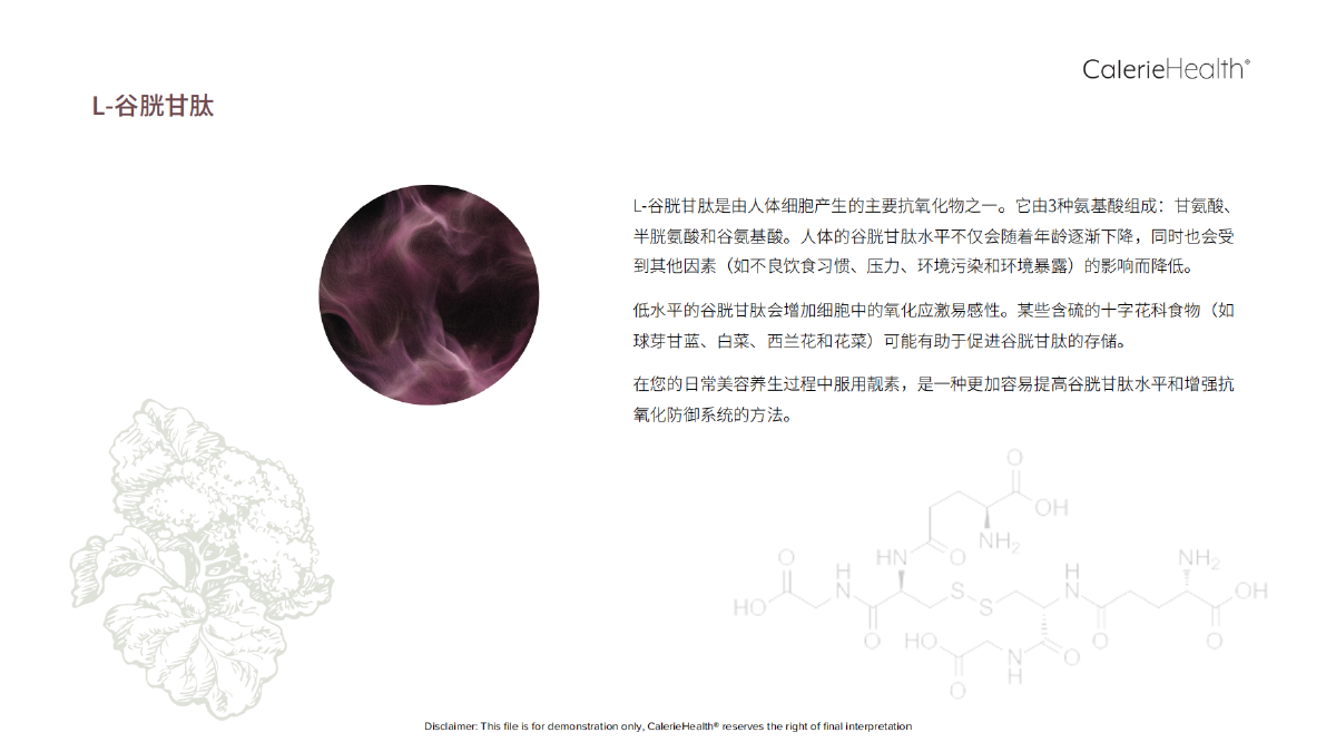 CH_EN_Glow_Brochure_ZZ_20220830_09.png